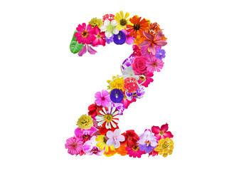The shape of the number 2 is made of various kinds of flowers petals isolated on transparent background. suitable for birthday, anniversary and memorial day templates