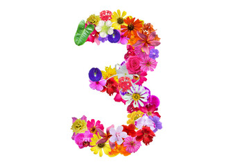 The shape of the number 3 is made of various kinds of flowers petals isolated on transparent...