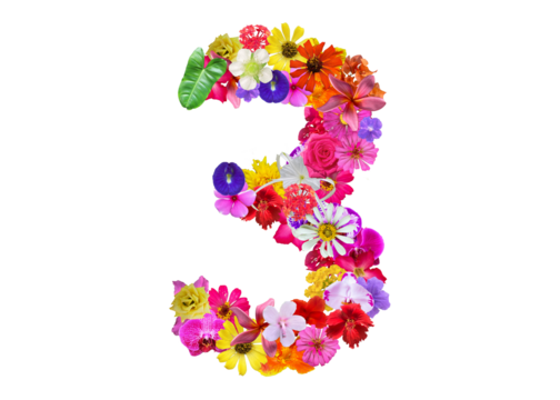 The shape of the number 3 is made of various kinds of flowers petals isolated on transparent background. suitable for birthday, anniversary and memorial day templates