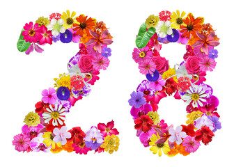 The shape of the number 28 is made of various kinds of flowers petals isolated on transparent background. suitable for birthday, anniversary and memorial day templates