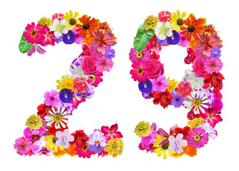 The shape of the number 29 is made of various kinds of flowers petals isolated on transparent background. suitable for birthday, anniversary and memorial day templates