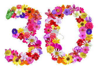 The shape of the number 30 is made of various kinds of flowers petals isolated on transparent background. suitable for birthday, anniversary and memorial day templates