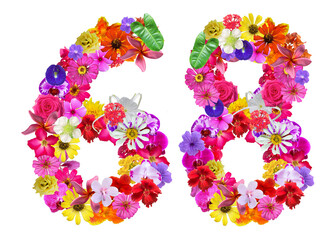 The shape of the number 68 is made of various kinds of flowers petals isolated on transparent background. suitable for birthday, anniversary and memorial day templates