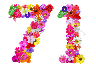 The shape of the number 71 is made of various kinds of flowers petals isolated on transparent background. suitable for birthday, anniversary and memorial day templates