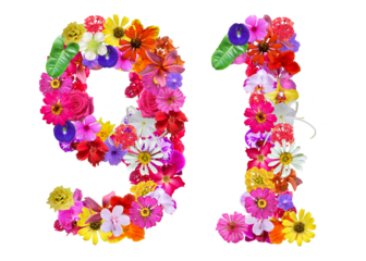 The shape of the number 91 is made of various kinds of flowers. suitable for birthday, anniversary and memorial day templates