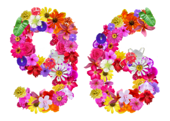 The shape of the number 96 is made of various kinds of flowers. suitable for birthday, anniversary and memorial day templates