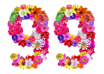 The shape of the number 99 is made of various kinds of flowers. suitable for birthday, anniversary and memorial day templates