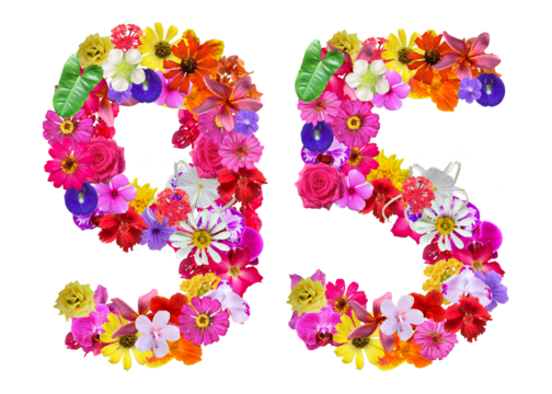 The shape of the number 95 is made of various kinds of flowers. suitable for birthday, anniversary and memorial day templates