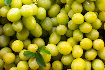 Fresh Fruit Brunch Green Grapes on Shelf in Fresh Fruit market. Bunch of green fresh ripe juicy grapes as background, close up.