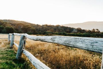 fence in the field