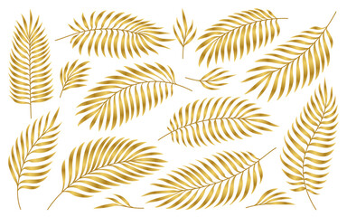 Palm golden leaves. Jungle gold foliage set isolated on white. Exotic nature plant leaf for luxury wedding greeting invitational cards, foil DIY, wrappers. Handdrawn tropic summer floral elements