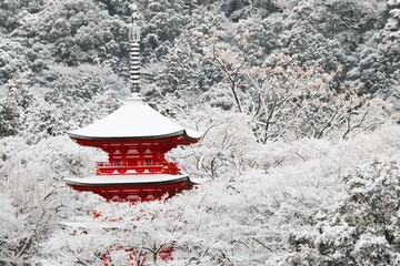 Obraz premium 京都の冬；清水寺