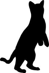 The cat or kitty illustrations for pet concept