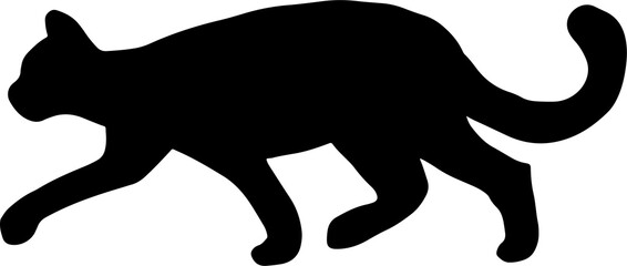 The cat or kitty illustrations for pet concept