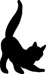 The cat or kitty illustrations for pet concept