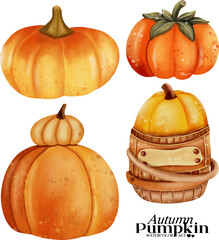 Autumn pumpkin watercolor illustration set