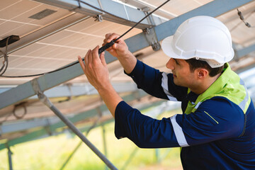 Expert engineer take care of solar panels Technician working in power plant. Clean energy technology to develop.