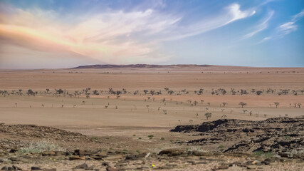 Fototapeta na wymiar Namibia, panorama of the Namib desert.