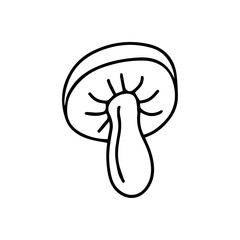 Hand drawn mushroom illustration. Isolated on white background