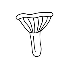 Hand drawn mushroom illustration. Isolated on white background
