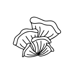 Hand drawn mushroom illustration. Isolated on white background