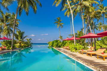 Panoramic vacation poolside landscape. Luxury beach resort hotel swimming pool, beach chairs beds, loungers under umbrellas with palm trees, blue sunny sky reflections. Summer island seaside, travel