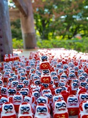 crowded daruma dolls in temple