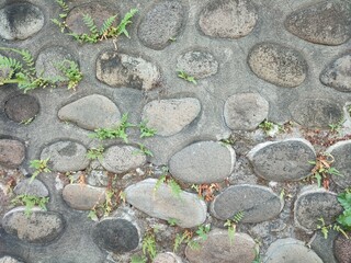 Wall made of concrete or river stone that is constructed as a retaining wall.
