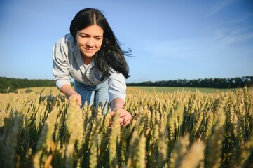 Naklejka na ściany i meble Farmer woman working in wheat field at sunset.