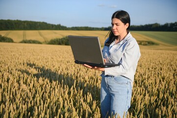 Naklejka na ściany i meble Woman farmer in a wheat field at sunset.