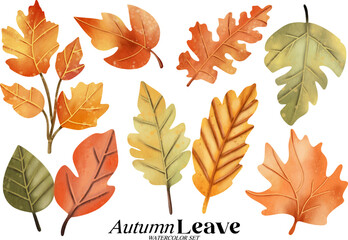 Obraz premium Autumn leave watercolor illustration set