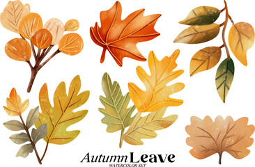 Obraz premium Autumn leave watercolor illustration set