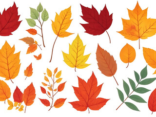 Naklejka premium Autumn leaves set, isolated on white background.