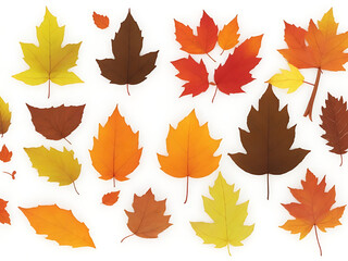 Fototapeta premium Autumn leaves set, isolated on white background.