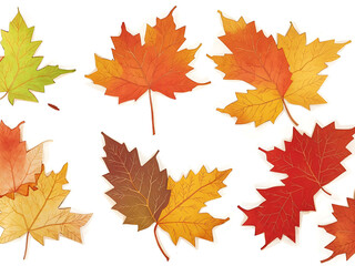 Naklejka na ściany i meble Autumn leaves set, isolated on white background.