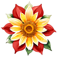 red and yellow flower isolated