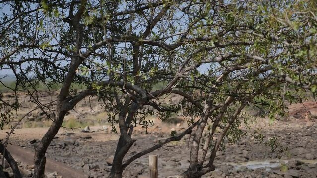 Border crossing between Namibia and Angola near Ruacana Falls. Angola border sign in Africa. High quality 4k footage.