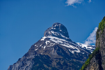 Beautiful mountain panorama with woodland and peak in the Swiss Alps at lakeshore of Lake Lucerne on a sunny spring morning. Photo taken May 22nd, Flüelen, Switzerland.