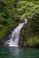 木々と苔の間を縫って流れ落ちるマテリヤの滝