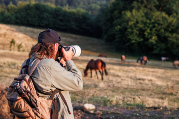 Photographer with camera taking picture of horse on pasture