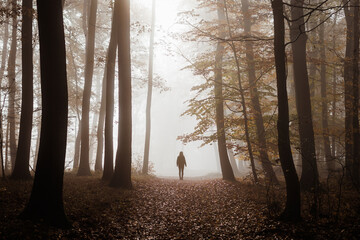 Silhouette of woman walks on footpath in dark foggy mystery forest alone. Concept of loneliness and...