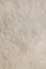 close-up of arctic fox fur used in the manufacture of clothing