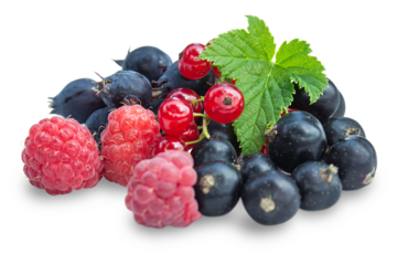 Fresh wild berries with leaves isolated on transparent background.