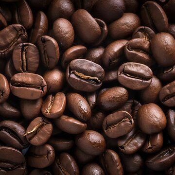 coffee beans