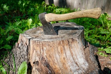 Axe stuck in tree stump in the forest &ndash; survival, camping or wood chopping tool