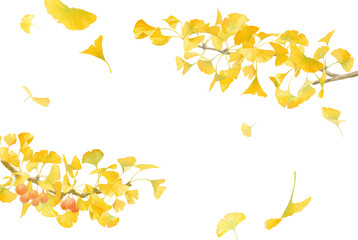 黄色に色づいたイチョウの水彩イラスト。左右から伸びたイチョウの枝のフレーム装飾。