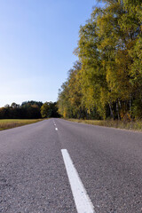 Paved road in the autumn season in sunny weather
