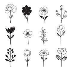 Floral branch and minimalist leaves for logo or tattoo. Hand drawn line wedding herb, elegant wildflowers.
