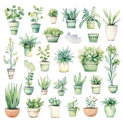 Set of plants in pots. Watercolor illustration of green plants on a white background.