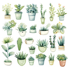 Set of plants in pots. Watercolor illustration of green plants on a white background.